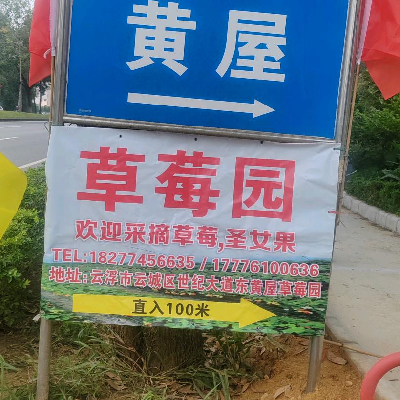 黄屋草莓园17776100636