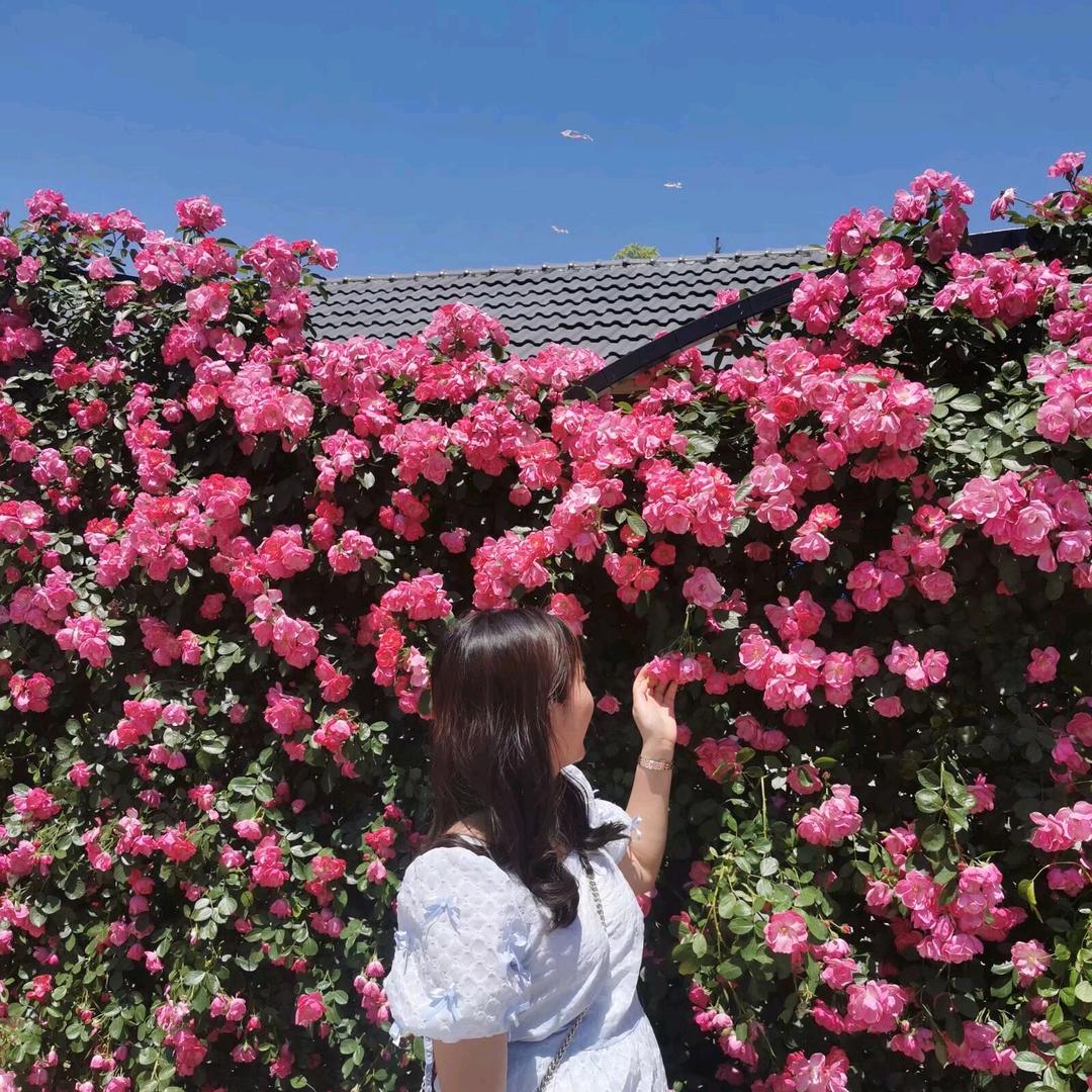 ❀゛Lɪᴋᴇ꧔ꦿᮨ້໌⁵₂