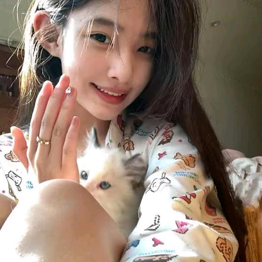 菠萝不吹雪～