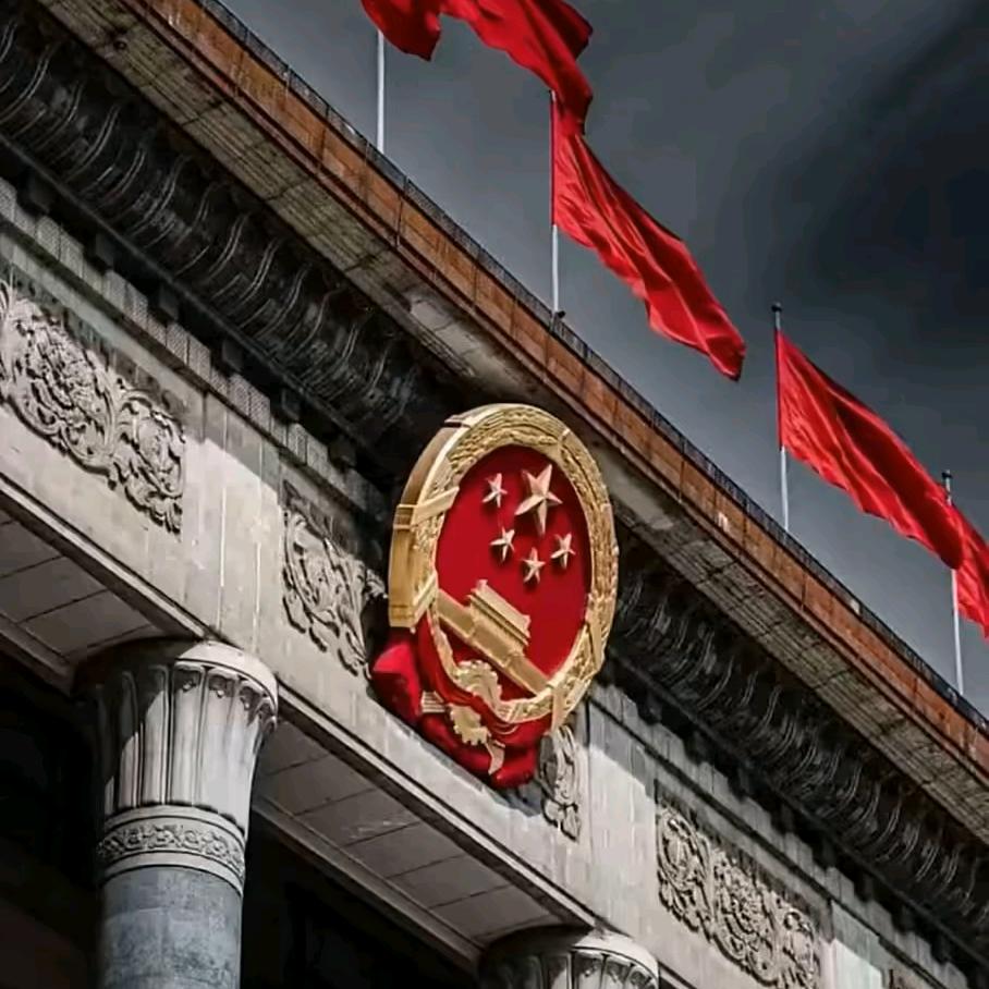 你好，同志
