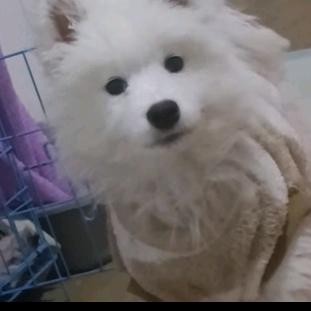 陈哈哈