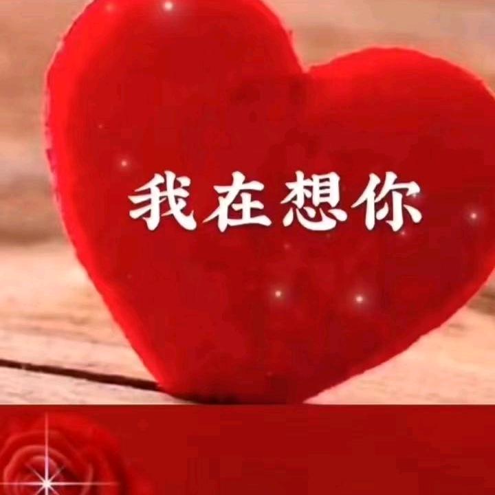 阳光无限好