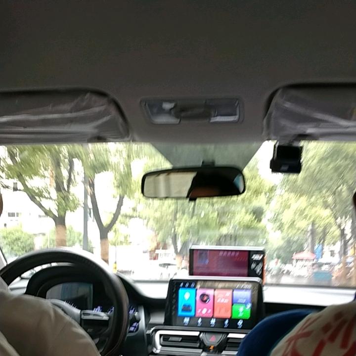 迷途的狼