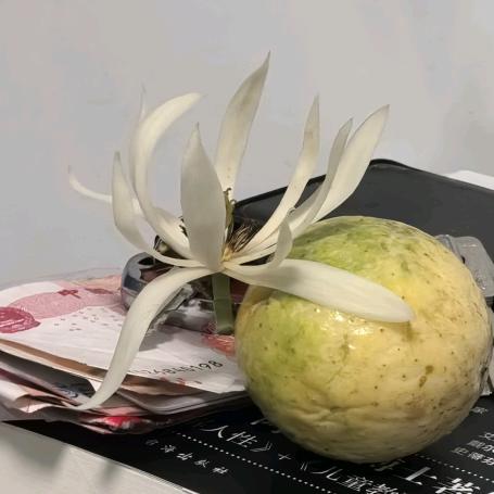 静谧时光
