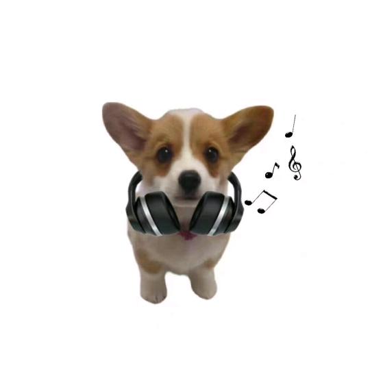 Y.n