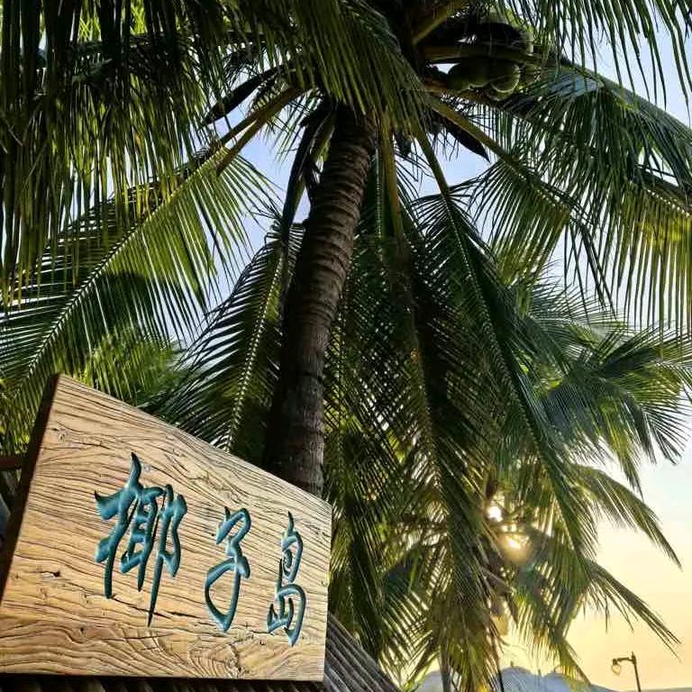 顺其自然⚡️