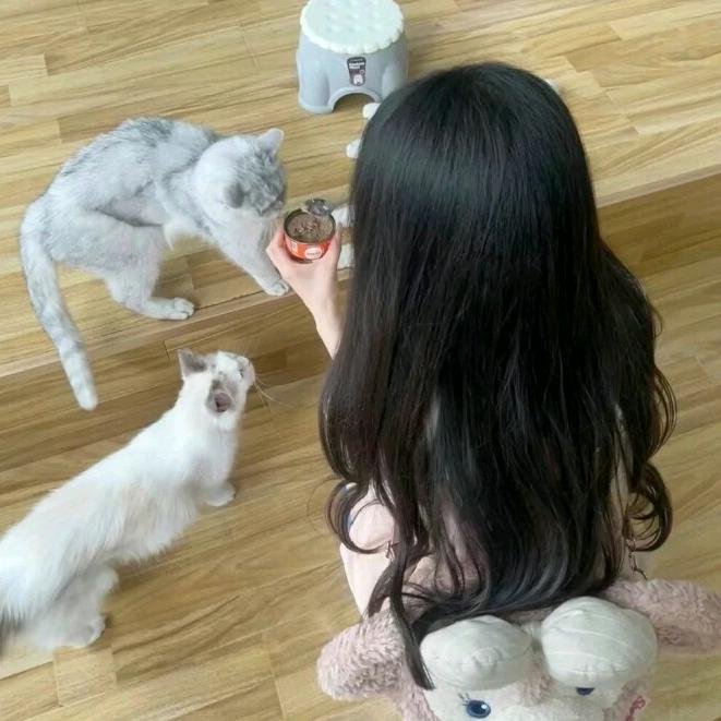 灰太狼（绝世仙王）