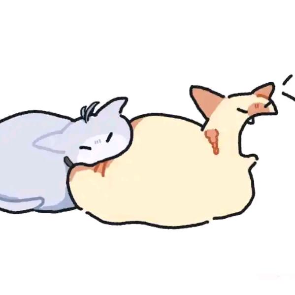 阿圆