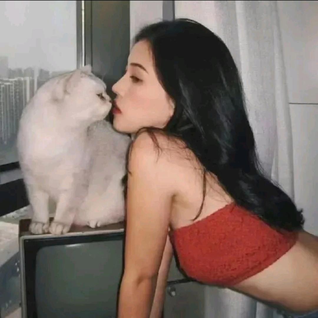 杨琴琴