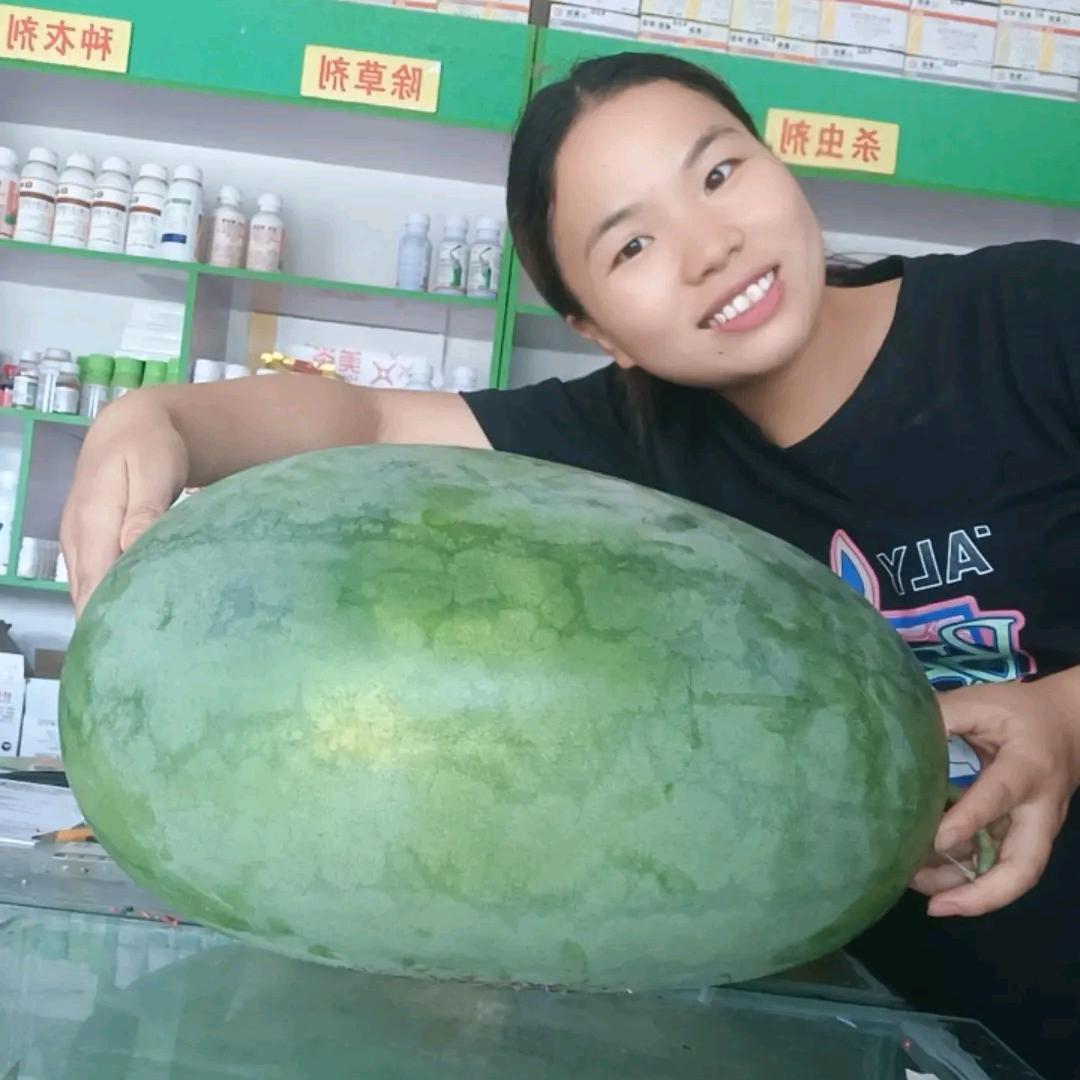 @农资小姐姐