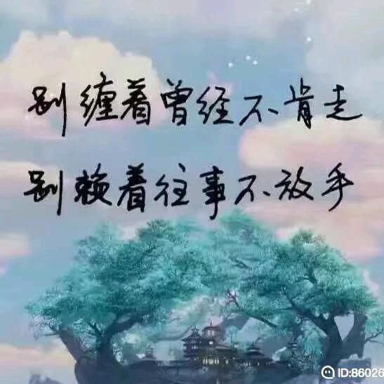 ꧁小公子ε٩(๑>₃<)۶з