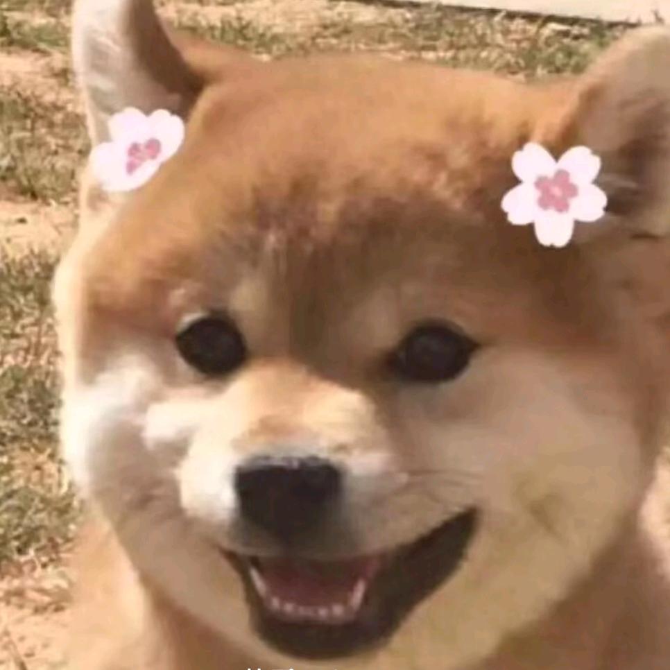 派大欣