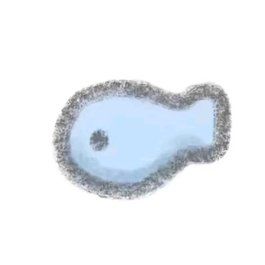 不打呼不打呼😉