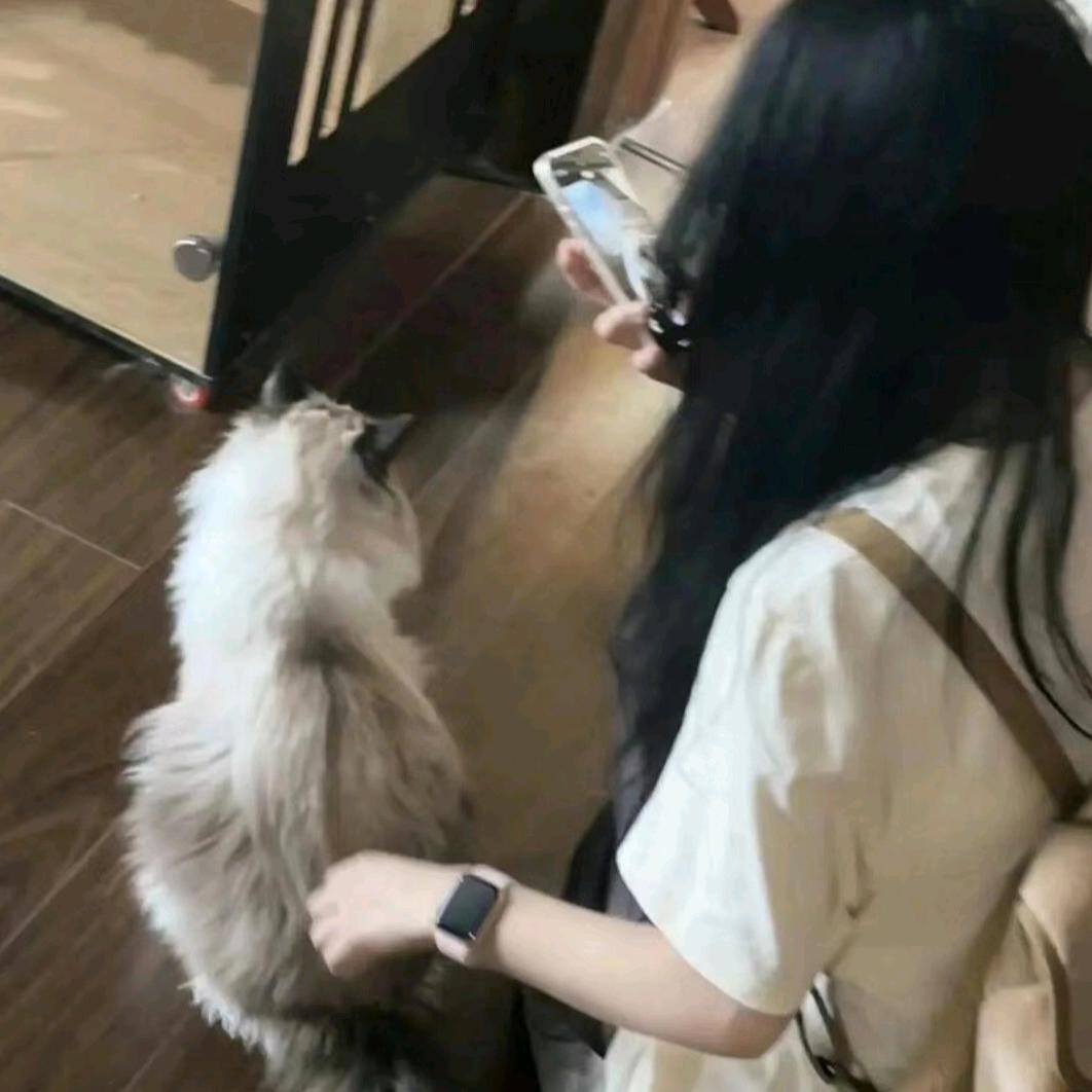 发芽的哄