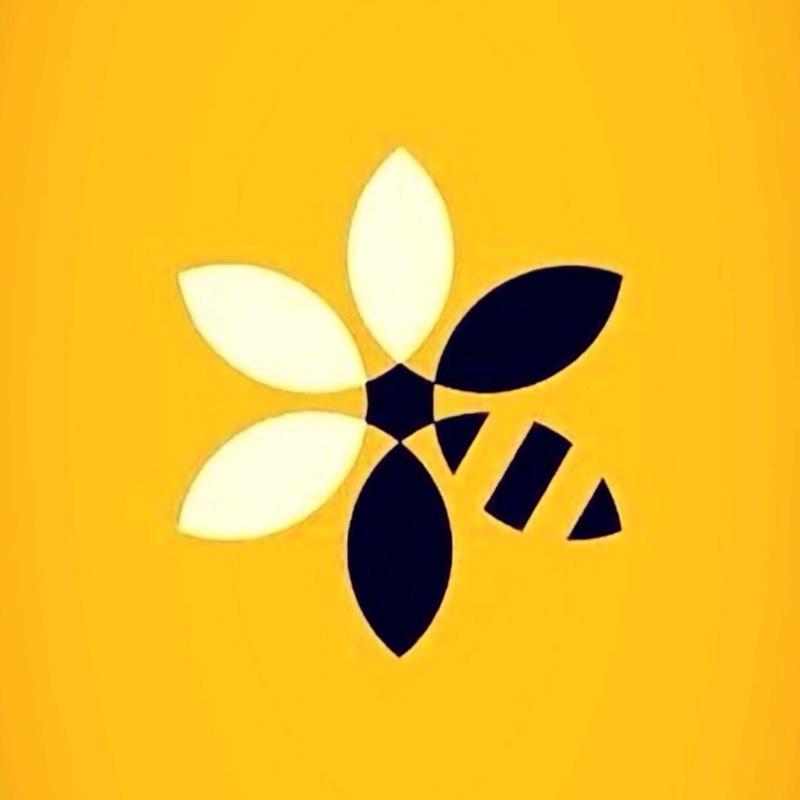 一条小蜜蜂