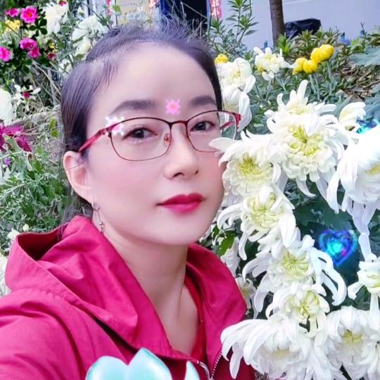 随心🎄️