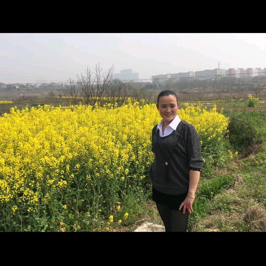 孤独求败