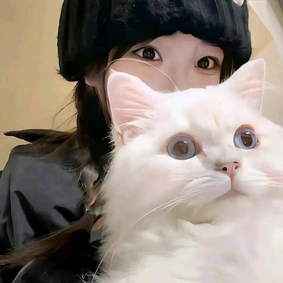 满山猴子我腚最红