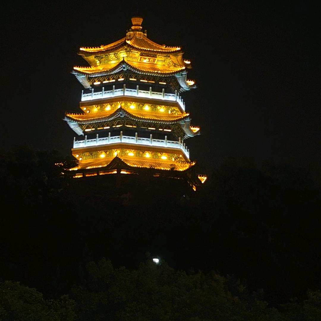 羽