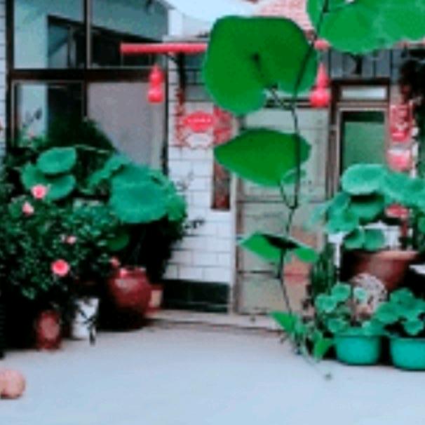 思念