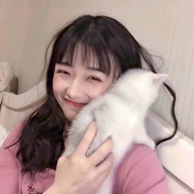 猪猪
