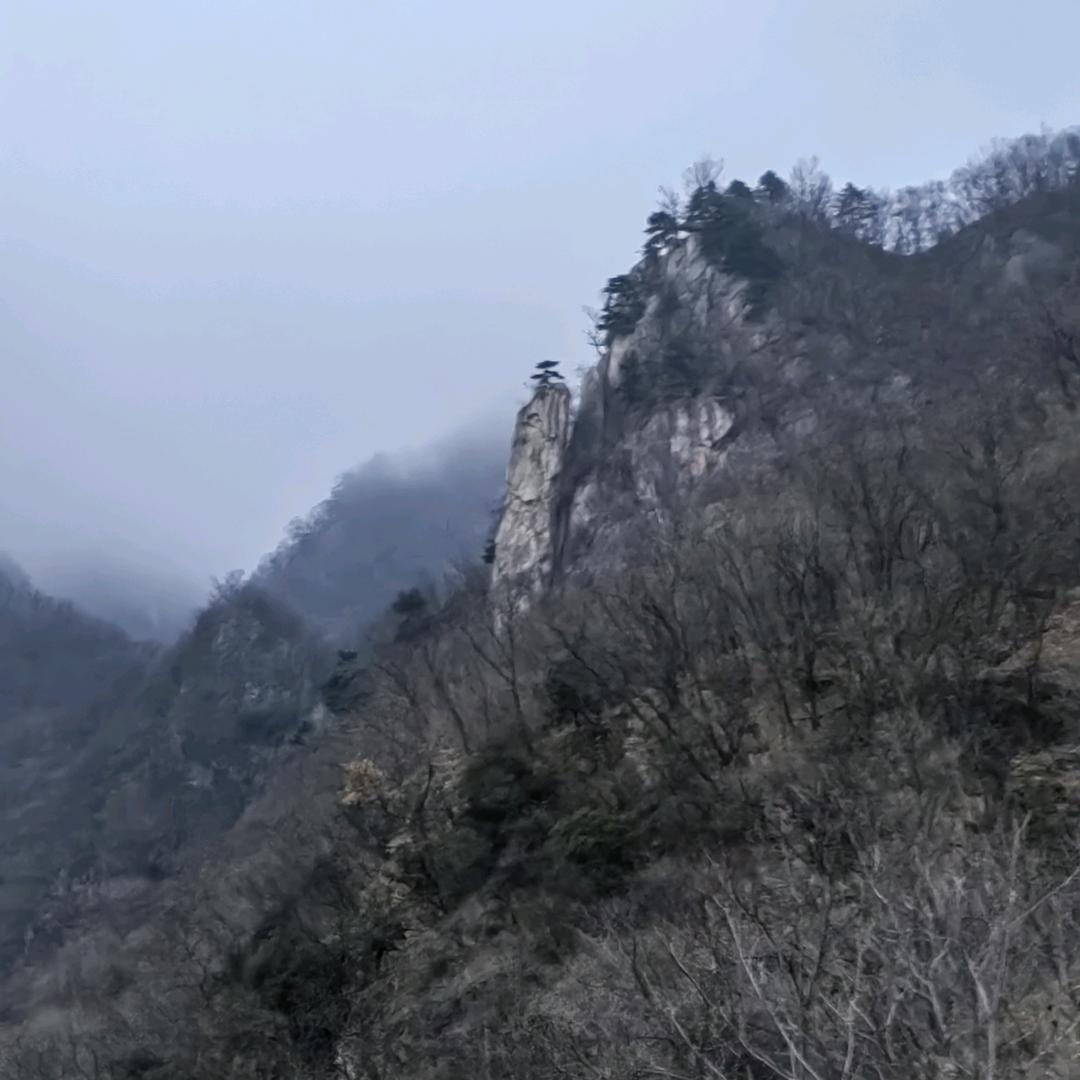 老三