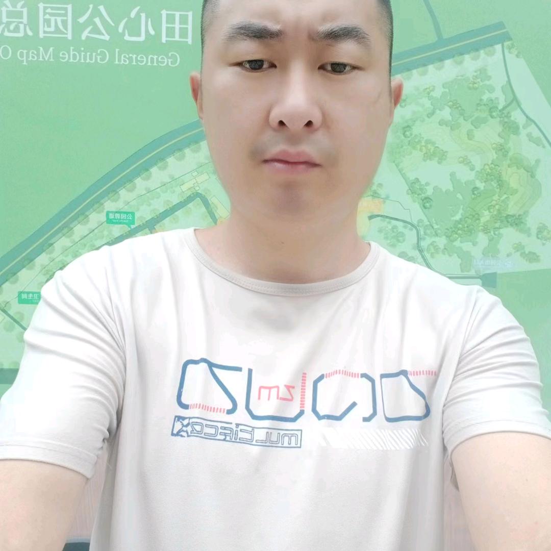 梦海之巅
