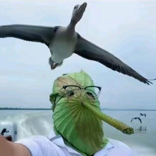 莎莎