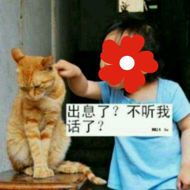 干杯啊
