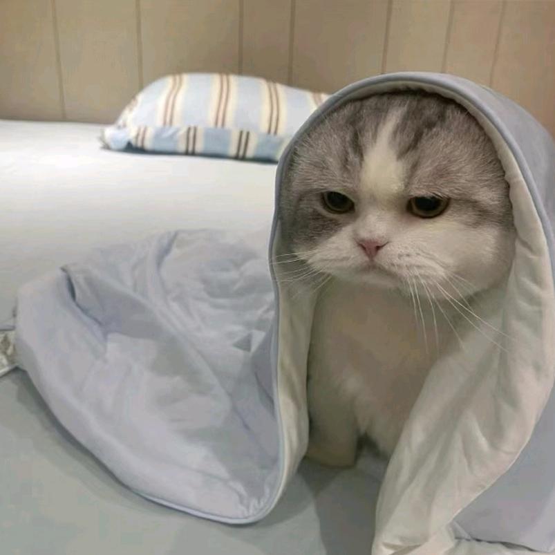 随便看看