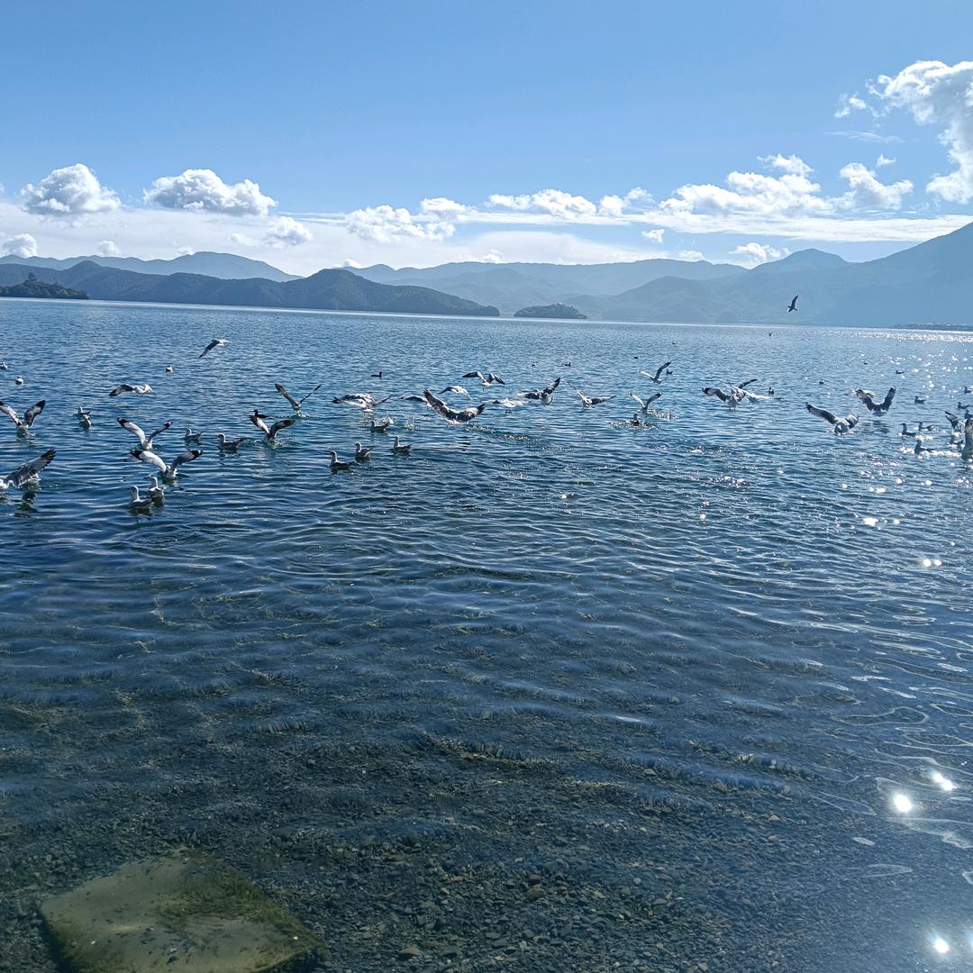 大天蓬(•‿•)