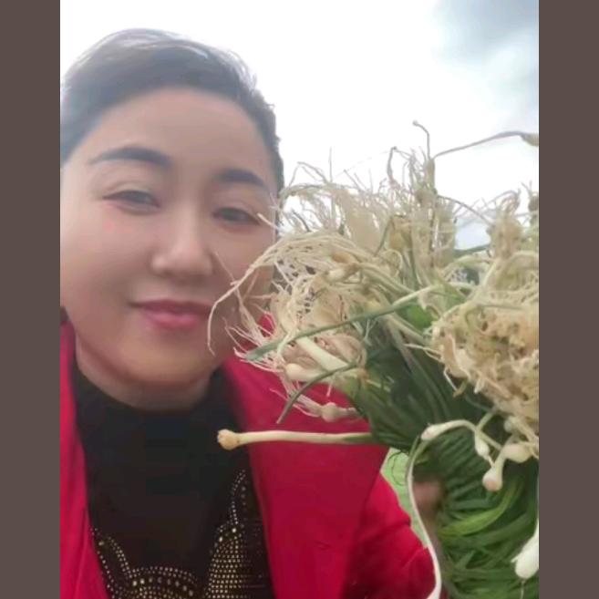 蓉姐助力号