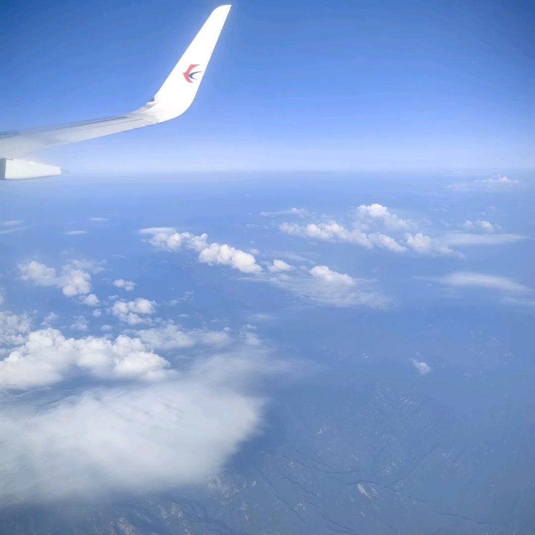 贝贝