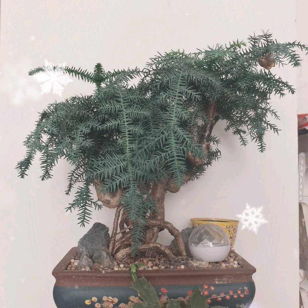倍儿爽