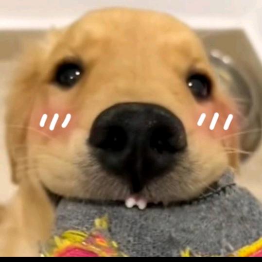 今天你吃了吗