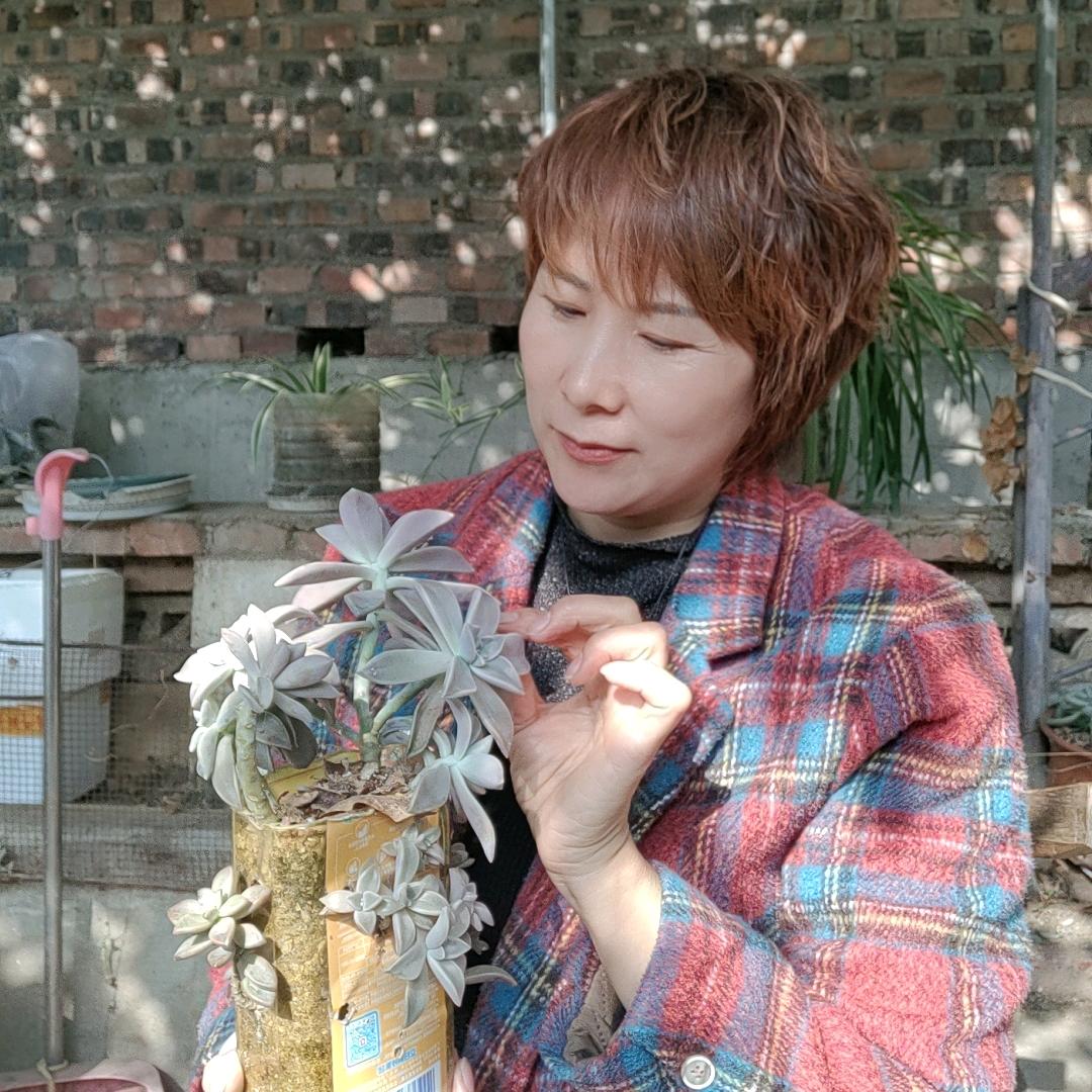 周姐的日常