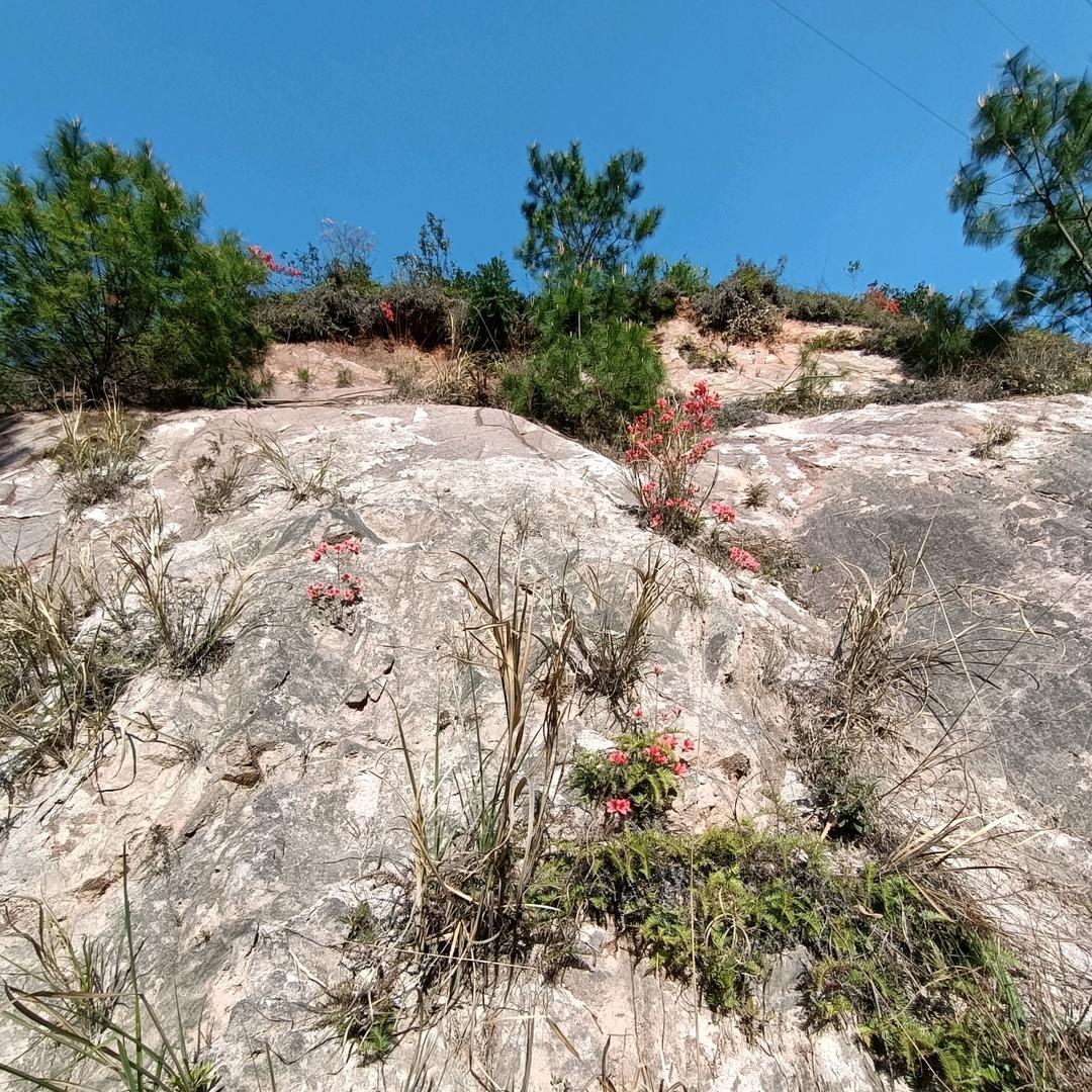 我就是我（赣饶风云）