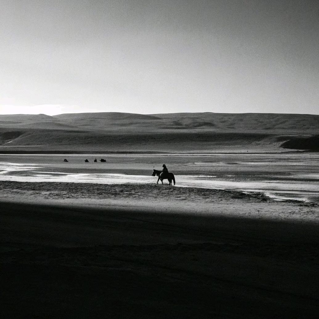 གཉན་པོ་གཡུ་རྩེ།