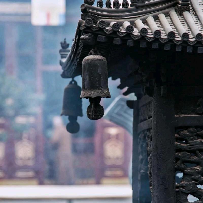 杨钊创意生活坊