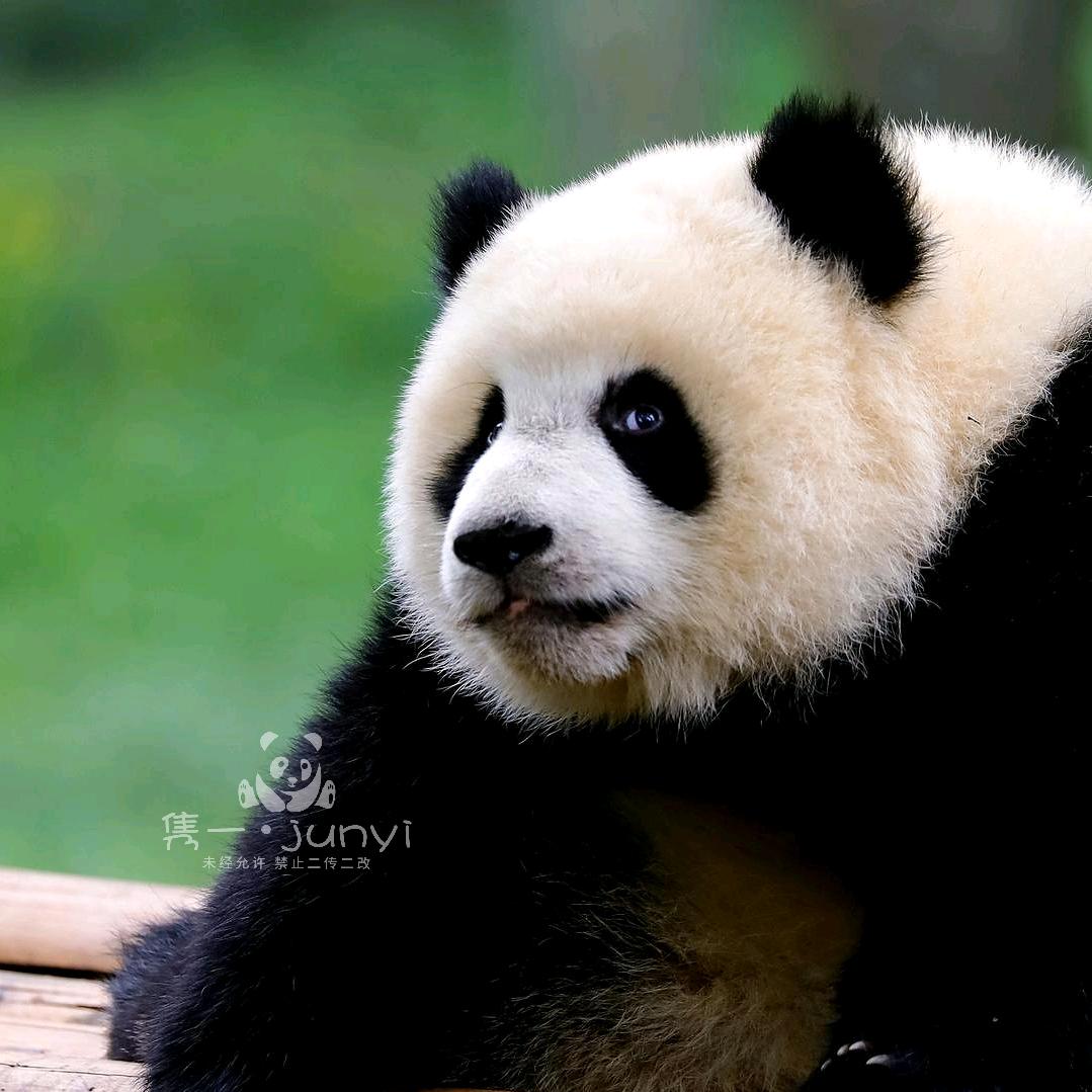 隽一一一
