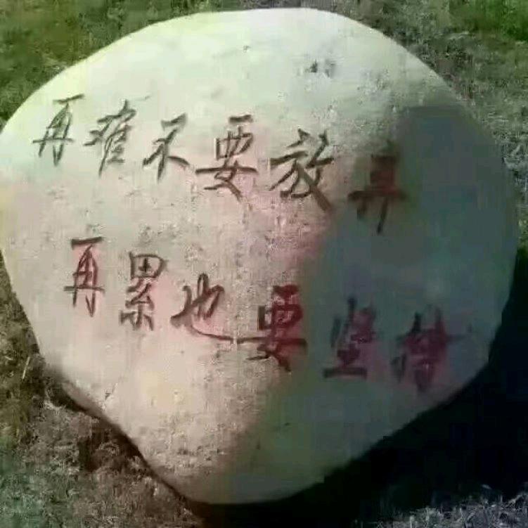相互的信任