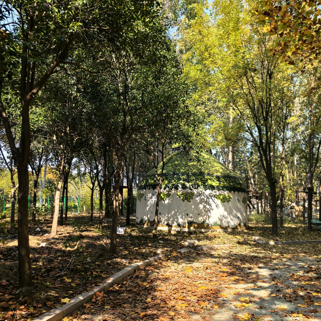 开开心心每一天