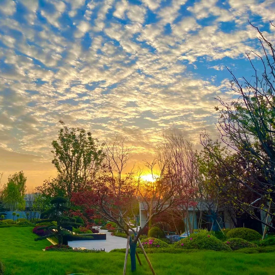 关于一套房的故事