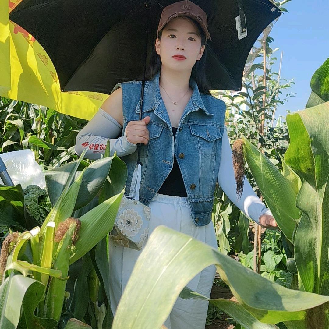 龙树新街李洪香种子店