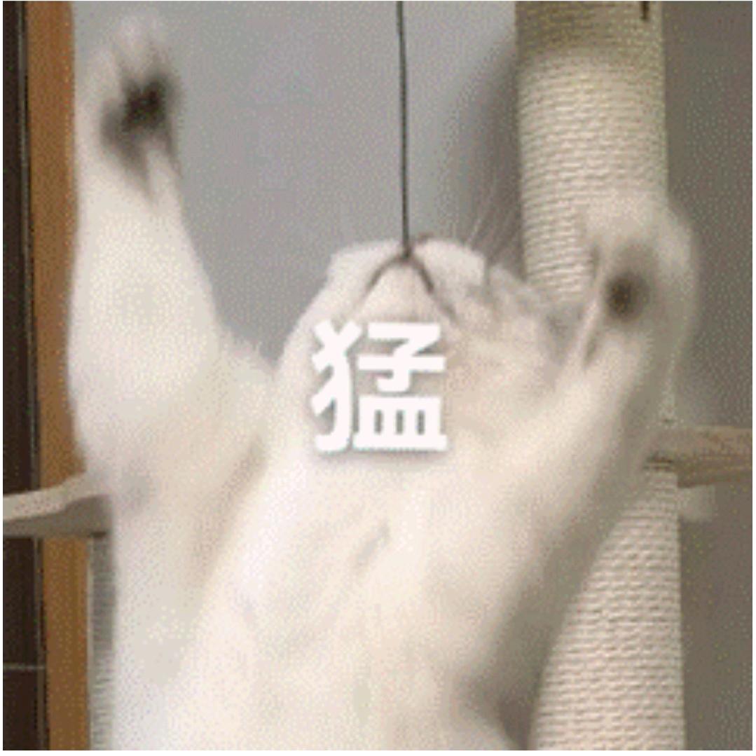 BiuBiu666