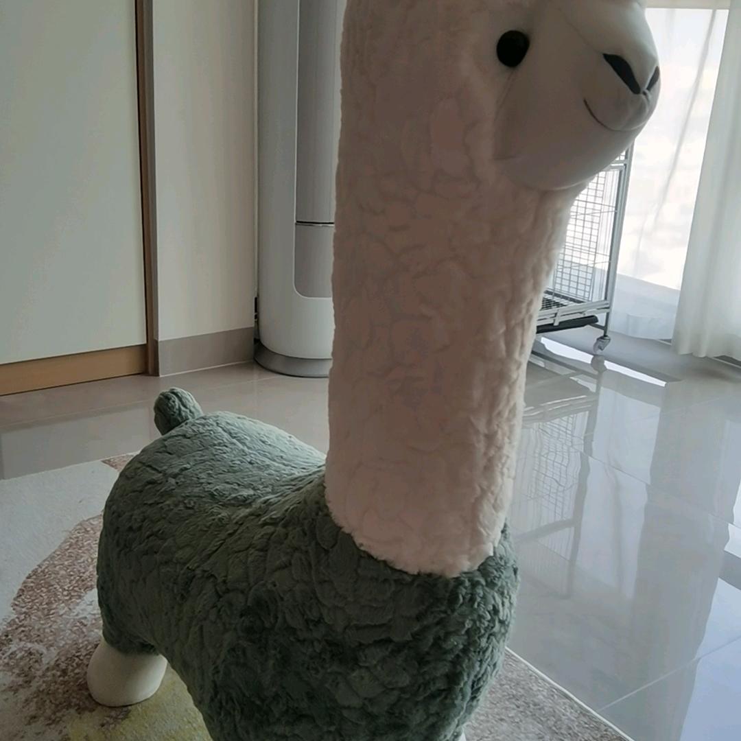 123