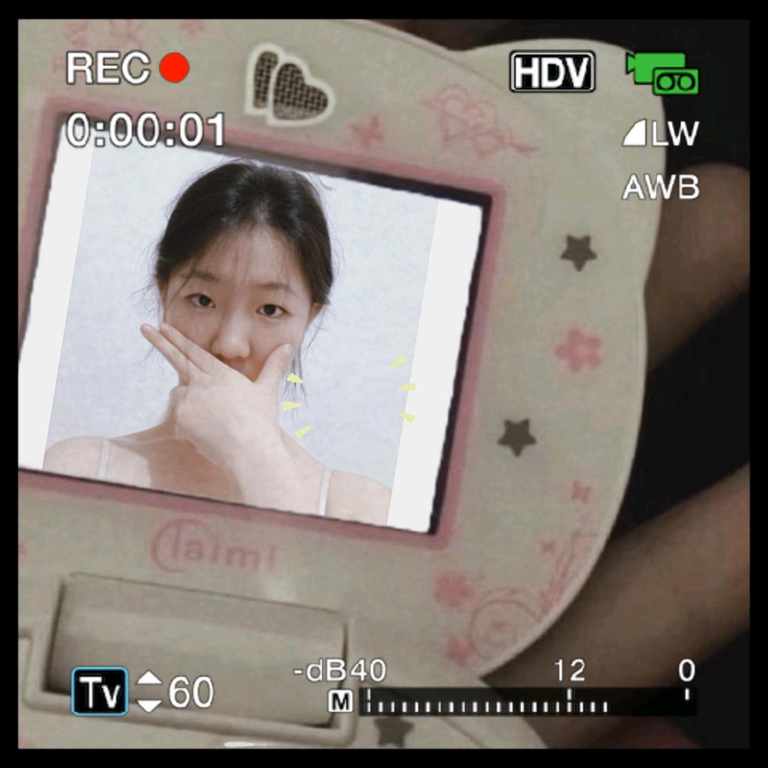 你是不是油猫饼