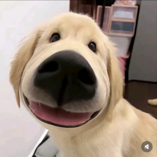 小小