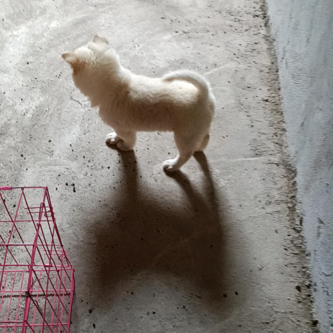 周志波