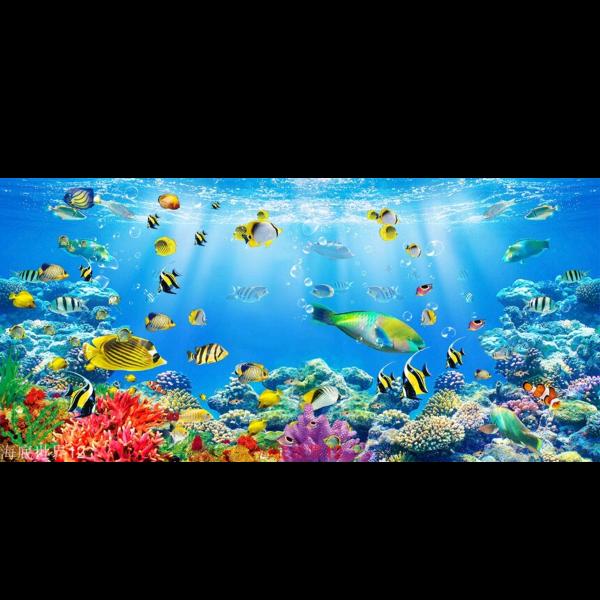 星星掉进我兜里